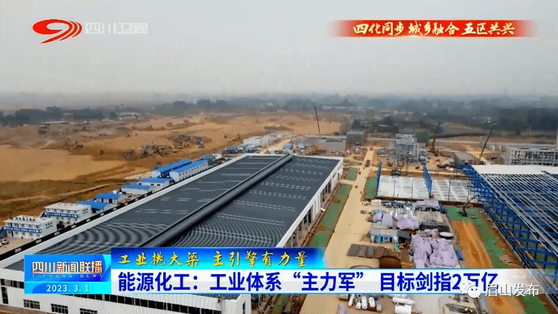 工业添加剂报价单背后的考量因素**